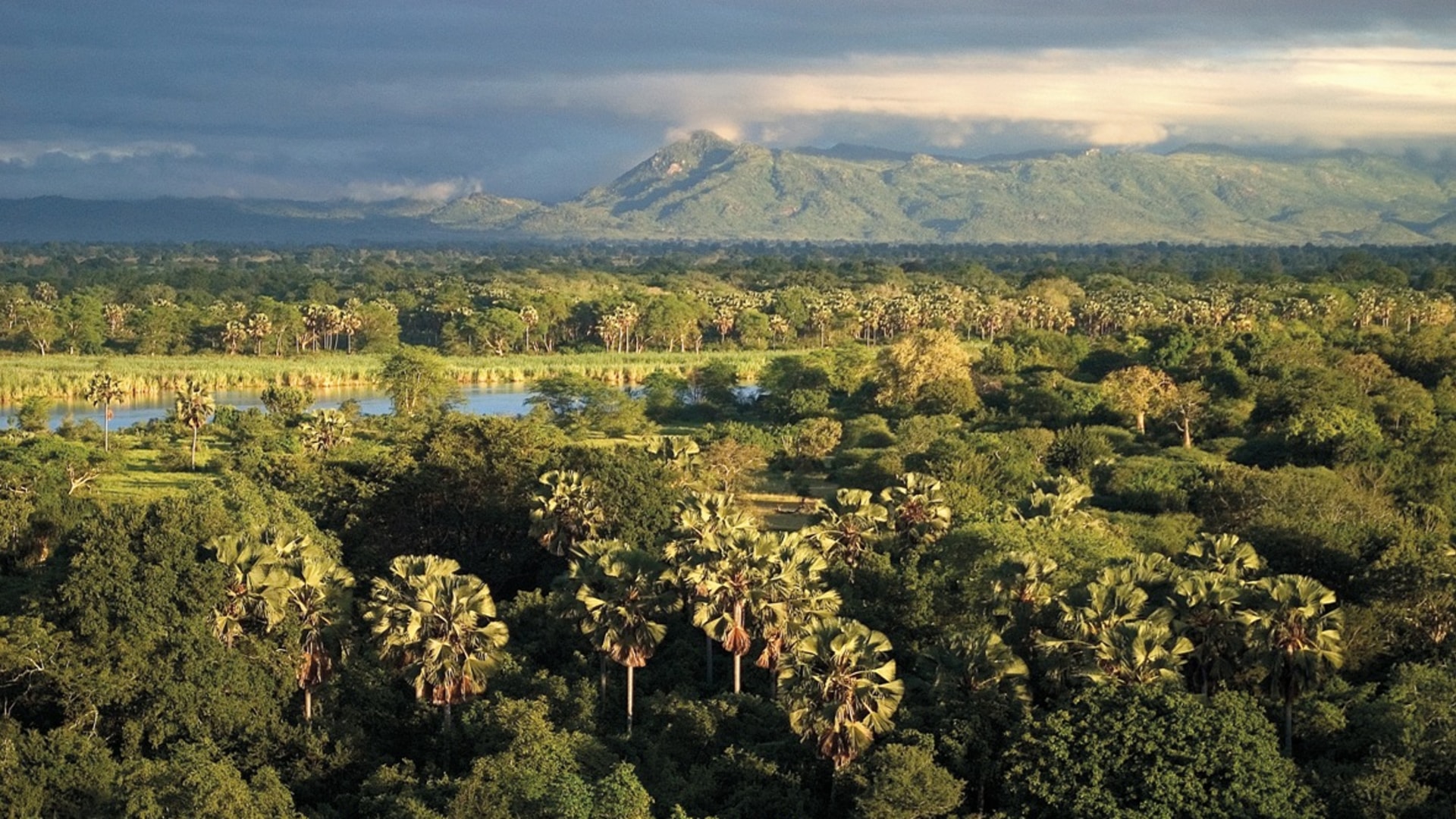 Liwonde National Park